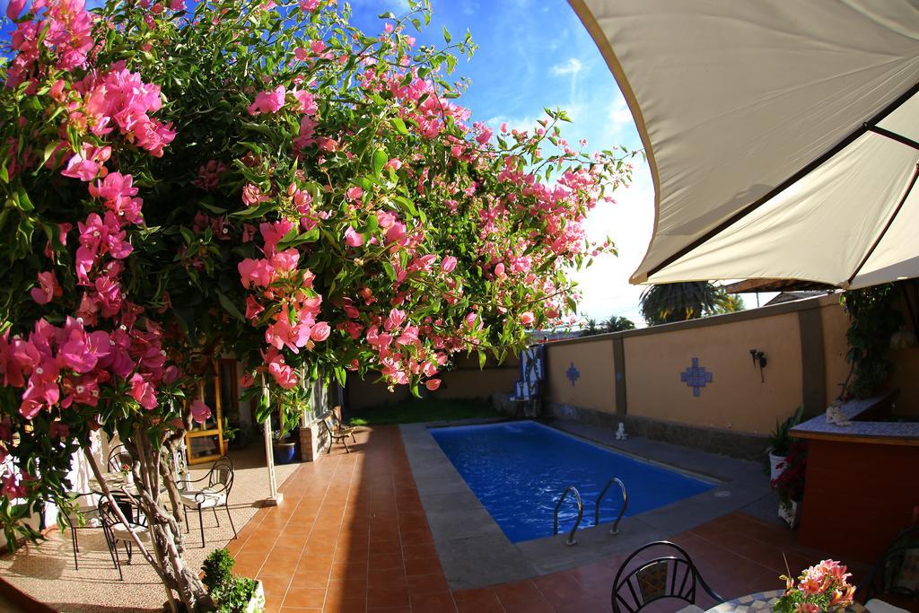 Hotel Puerto De Vega Vallenar Exterior foto